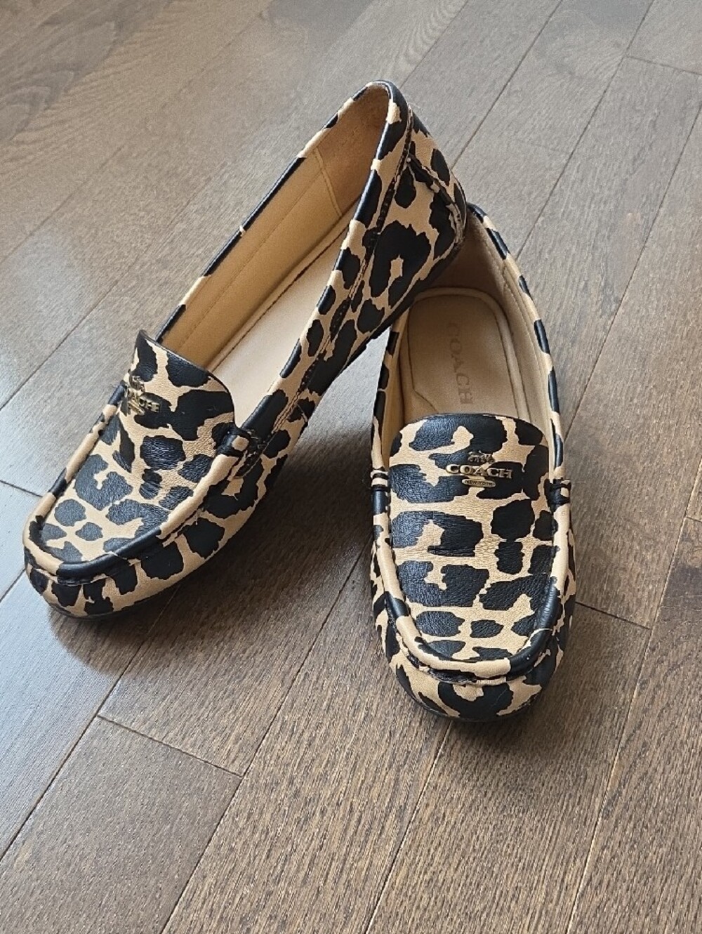 COACH Leopard-Print Leather Driving Loafers in Black and Beige - Picture 12 of 16